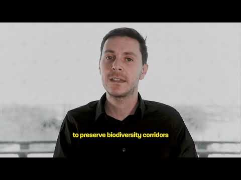 MTL+ – Riverside Boardwalk on the Seaway: PARA-SOL