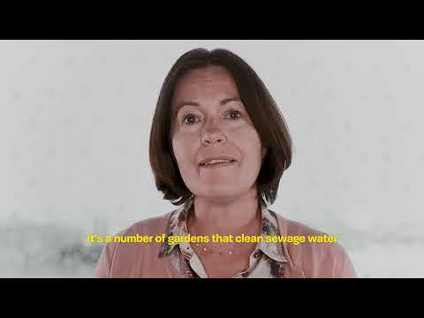 MTL+ – Frogs and Grasses: Catalyse Urbaine