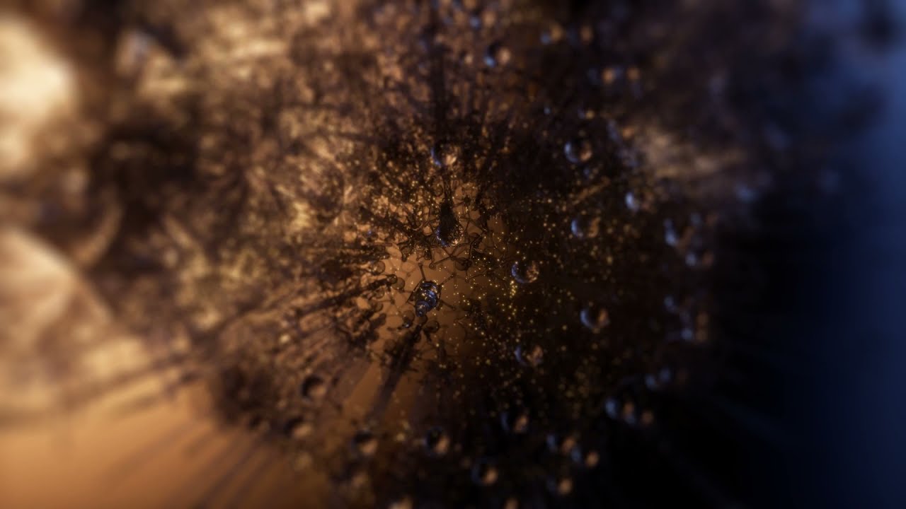 Grove Cradle: Venice Biennale 01