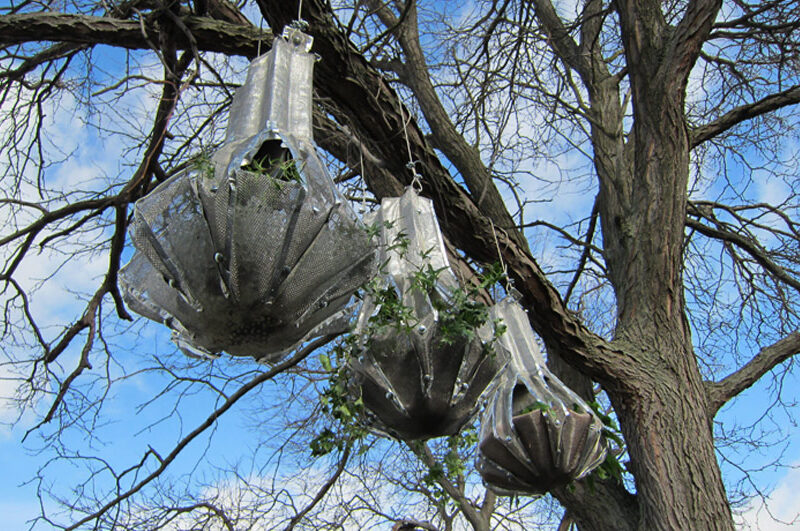 Lets hear it for the bats 01