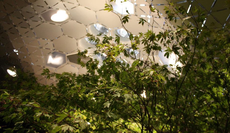 Previewing Manhattans subterranean park 03