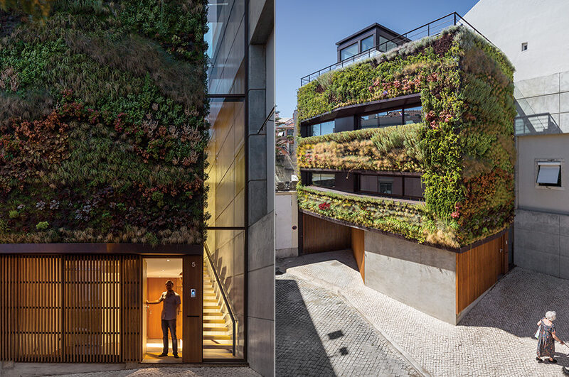 The Fragrant House 01