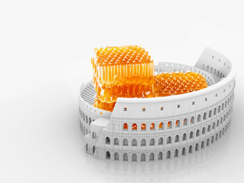Rome Collective Living Challenge