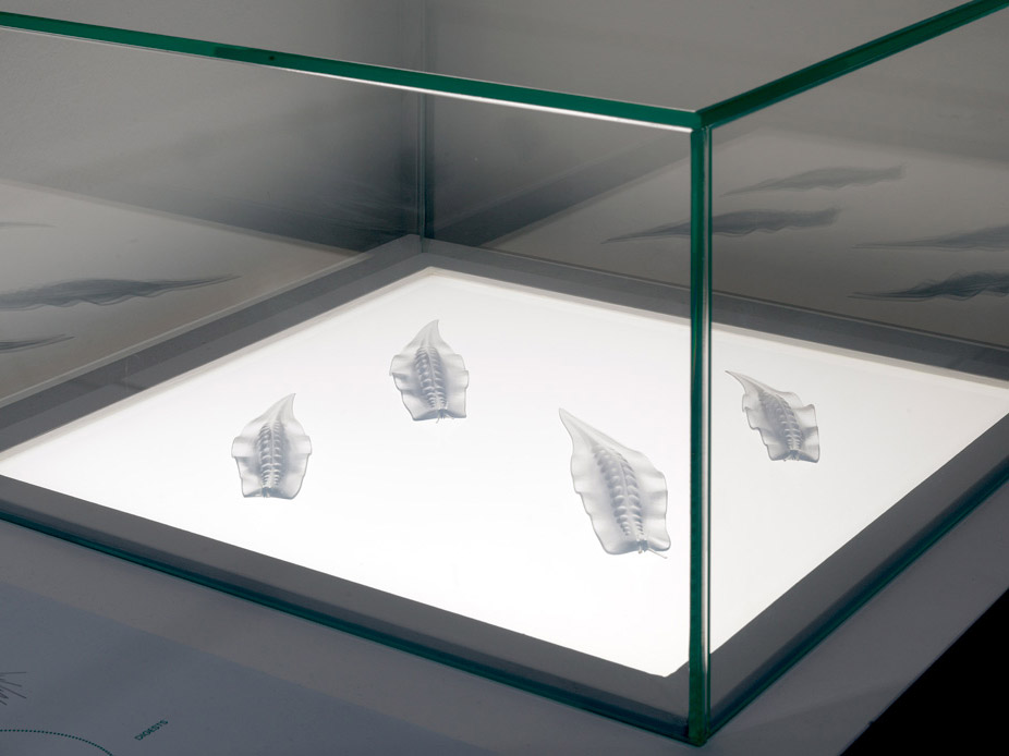 Alexandra Daisy Ginsberg: Better Nature