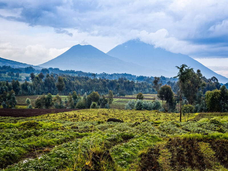 Rwanda Chapel Competition