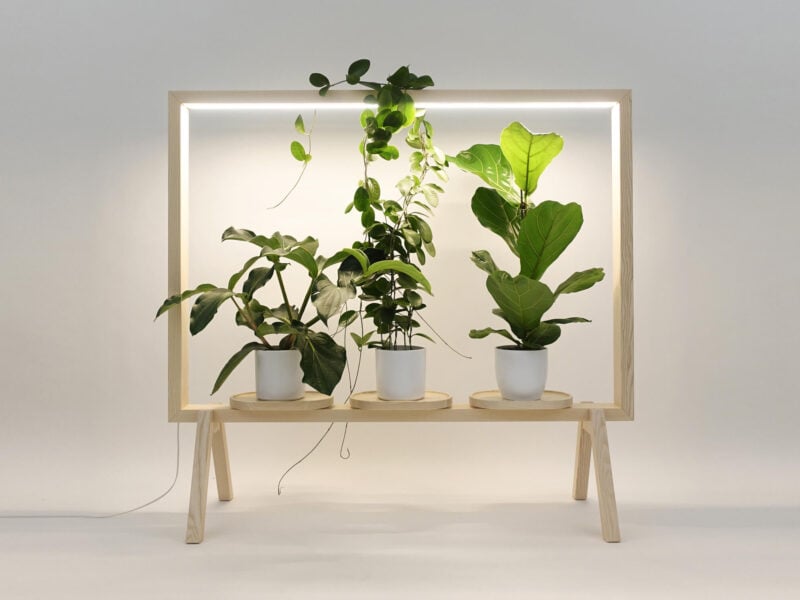 Limbus GreenFrame, AZ Awards 2019