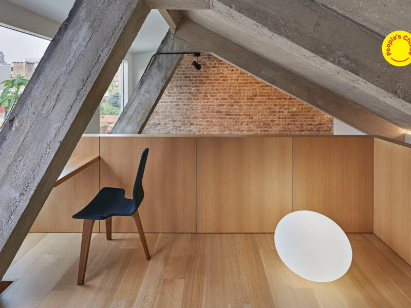 Michigan Loft, AZ Awards 2019, Vladimir Radutny Architects