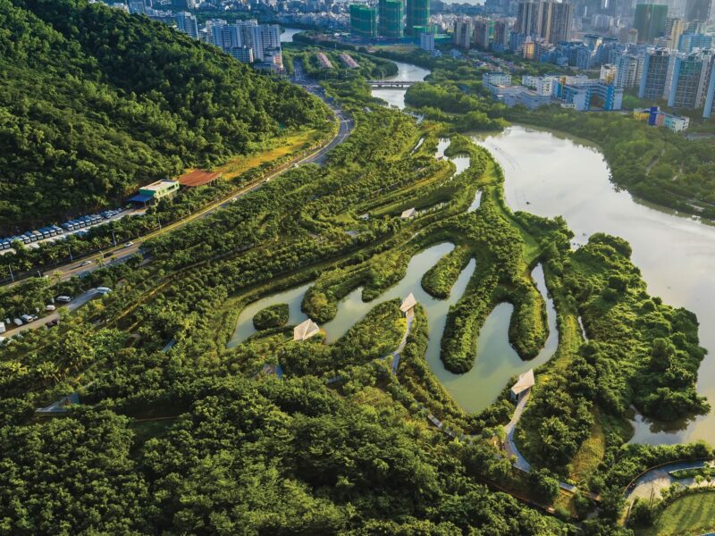 Sanya Mangrove Park, AZ Awards 2019