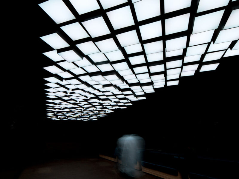 Cactus, Cubic Sky, Fifty Eight, La Concha Resort, San Juan, Puerto Rico