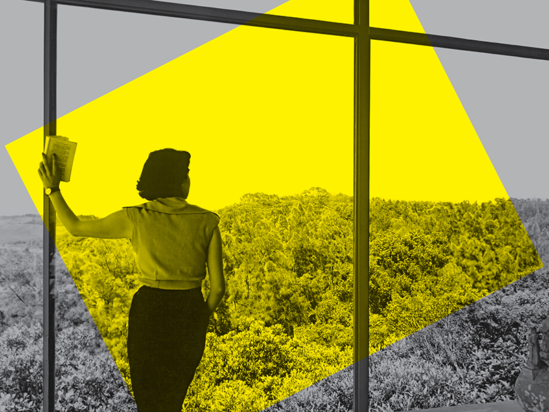 Woman looking out the window with yellow rectangle overlay