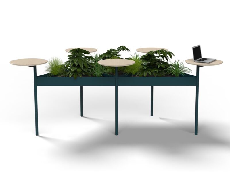 Constellation Table by Corral