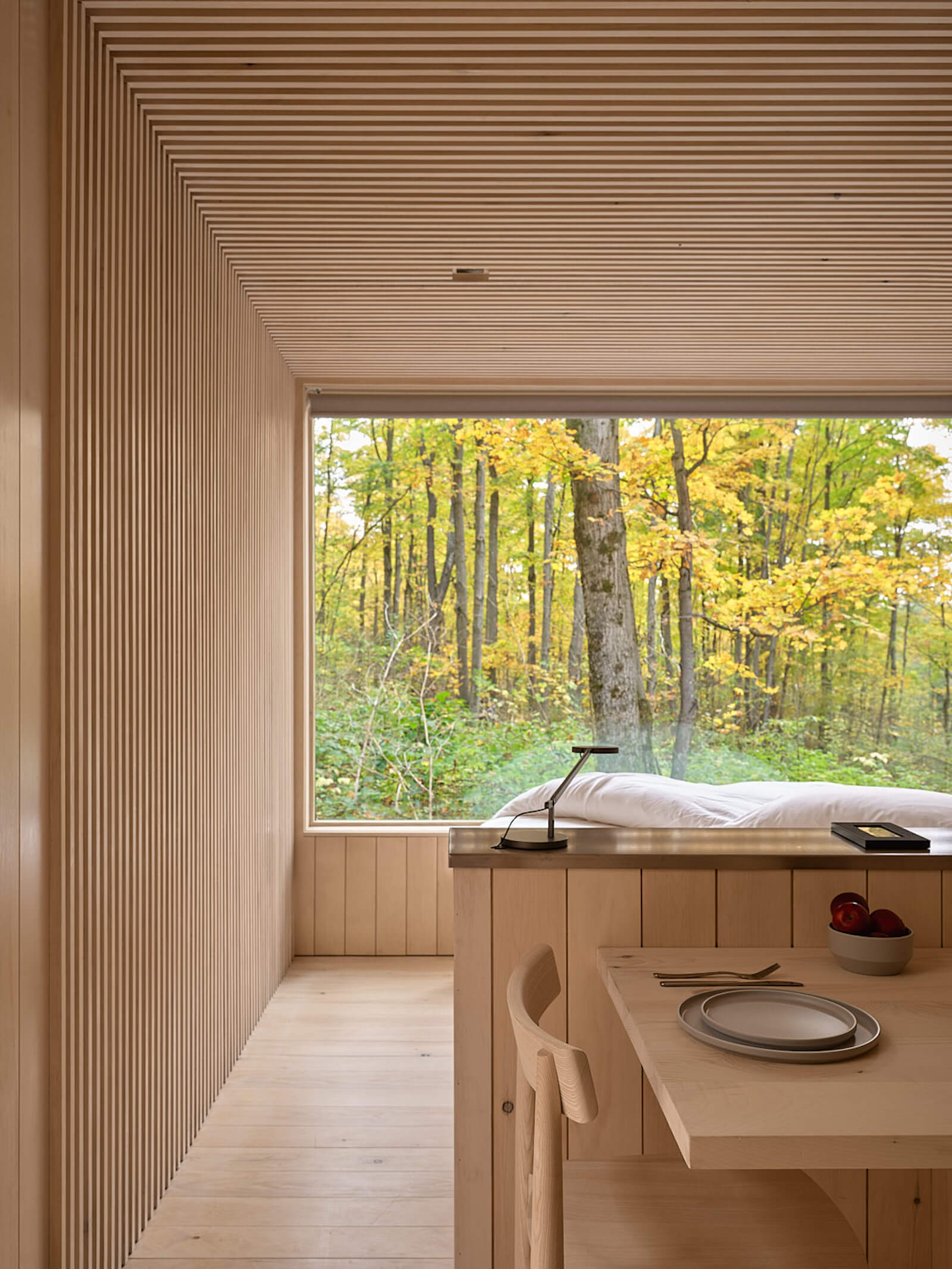 Interior of wood clad cabin