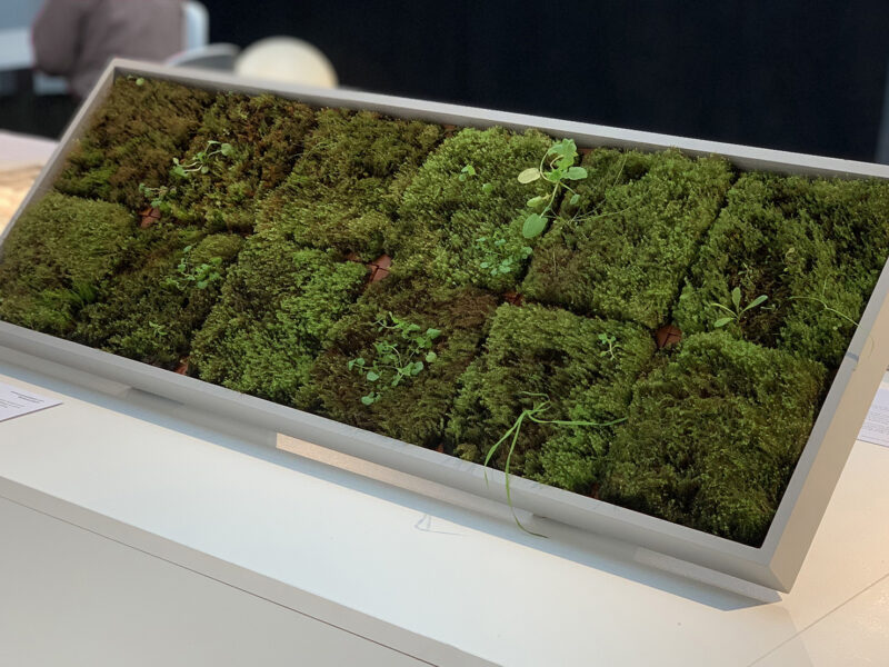 Moss tiles by Poppy Pippin