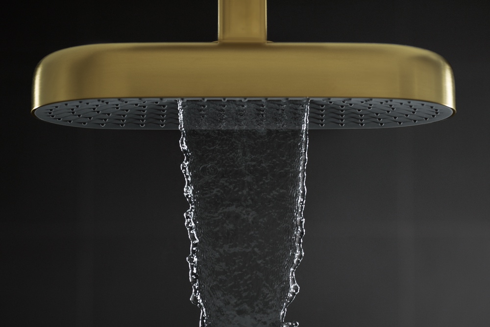 Kohler Statement showerhead