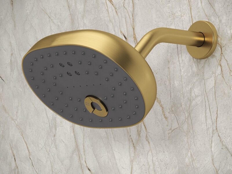 Kohler Statement showerhead
