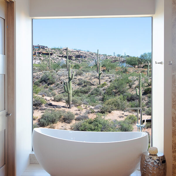 Bathtub overlooking the desert landscape