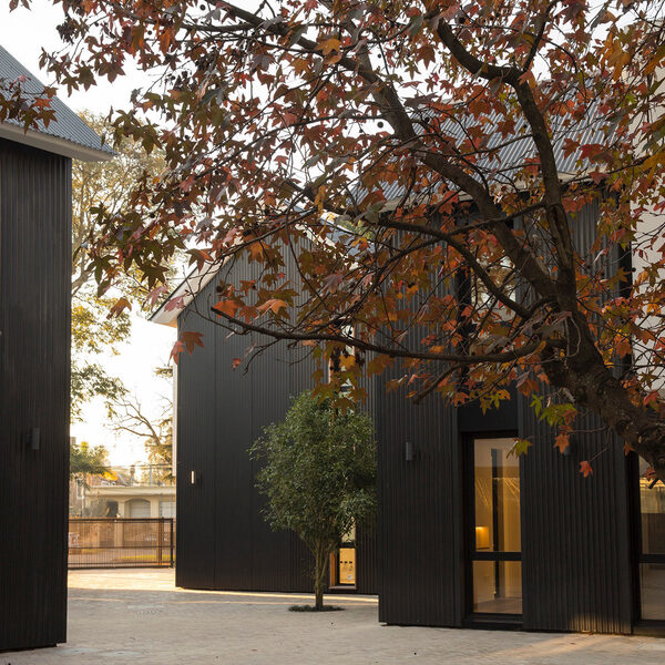 Black houses with trees in autumn colours