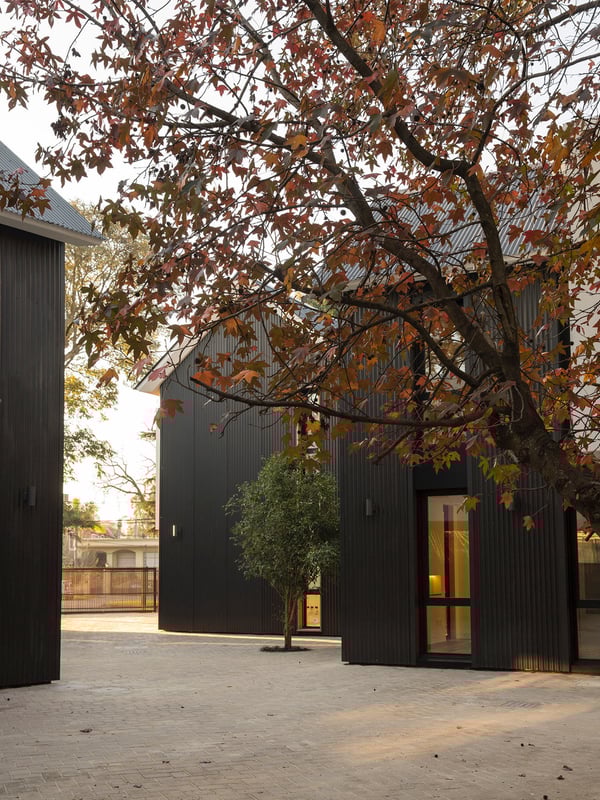 Black houses with trees in autumn colours