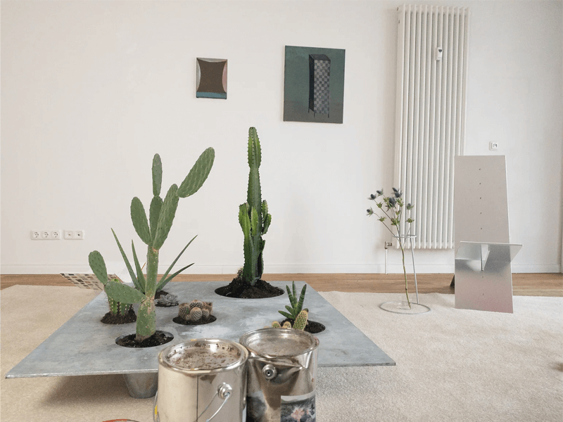 Do you live here? Public art exhibition interior living space with cacti