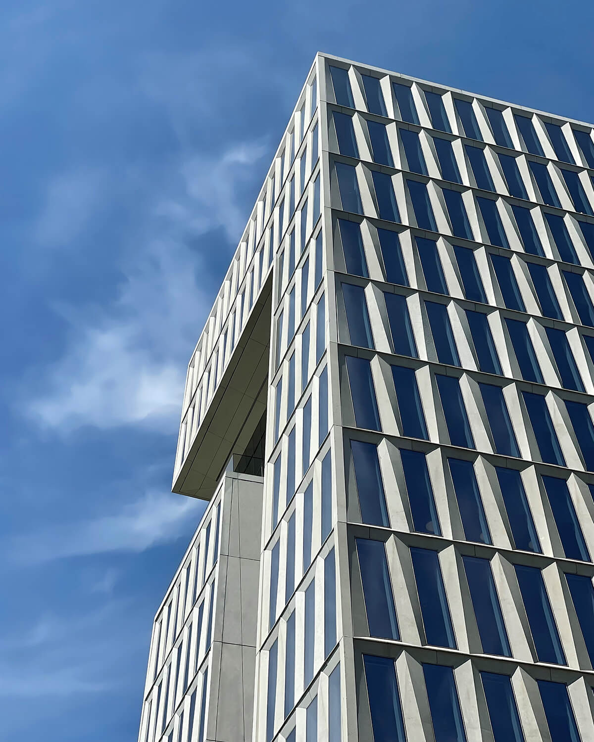 Concrete Skin by Rieder