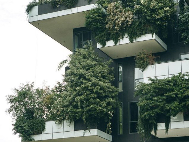 a high-rise balcony with plants growing over the sides