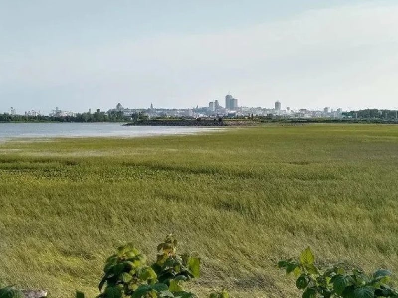 St.Lawrence River Shoreline