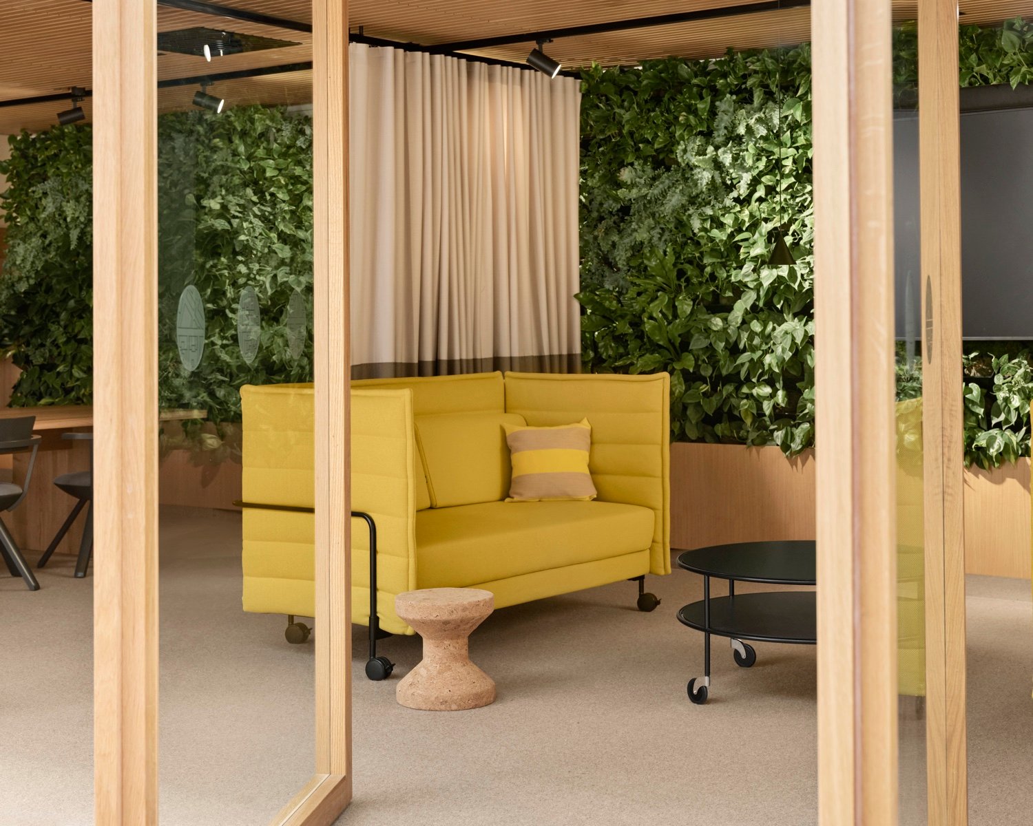 Yellow sofa in front of green wall
