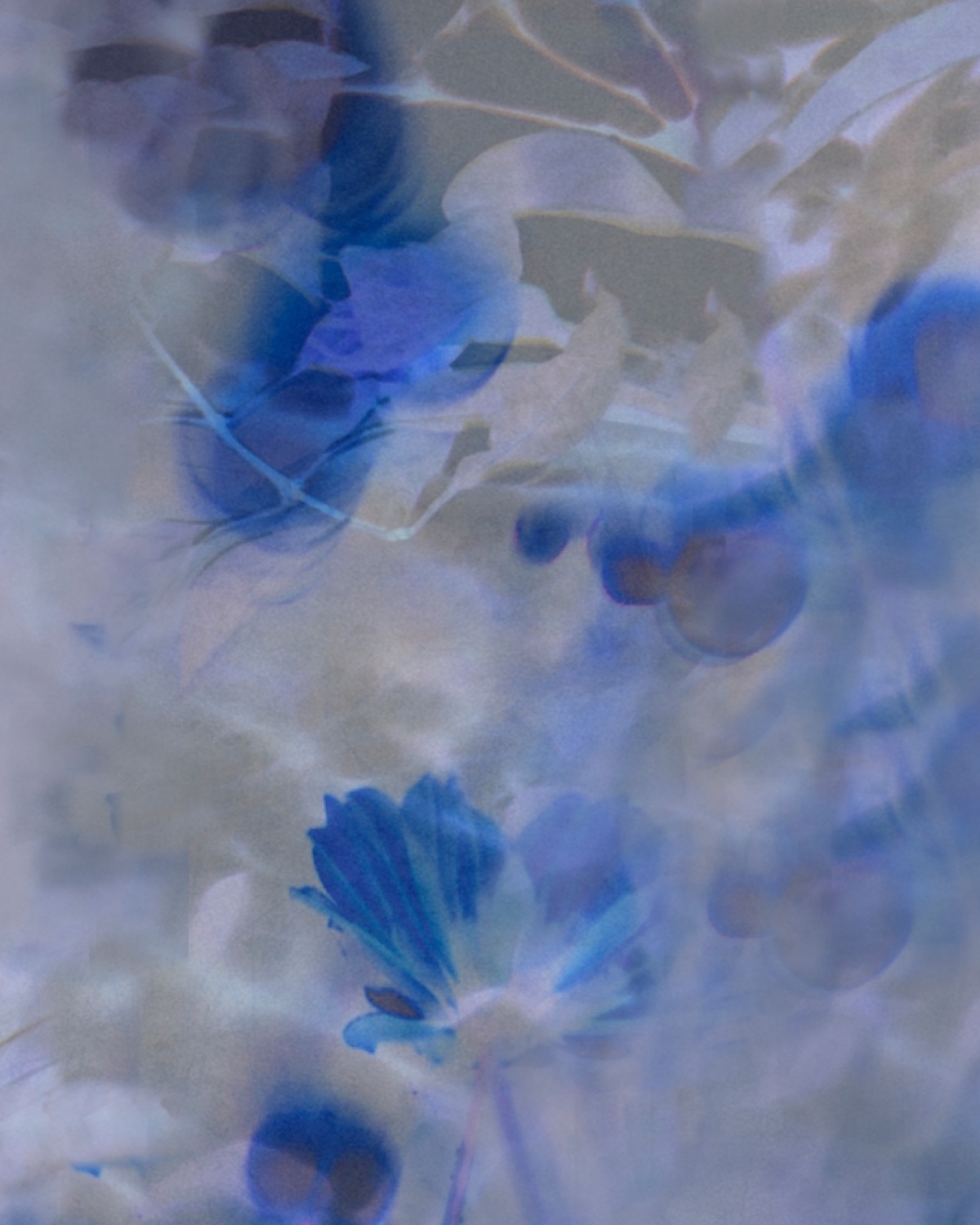 Gossamer by Raylene Marasco for Wolf-Gordon in Ultraviolet