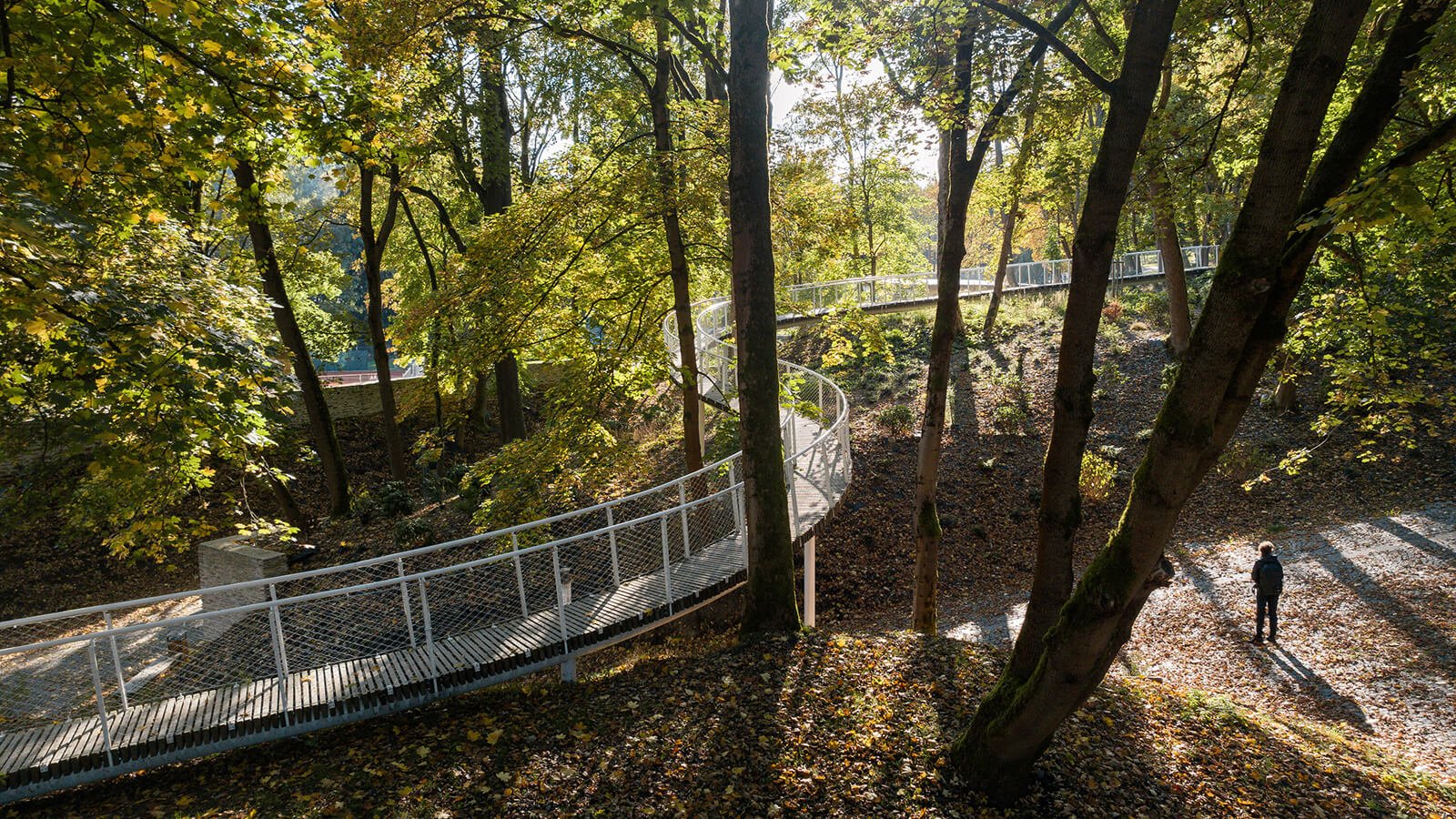 Wooden and steel footbridge weaves through the trees