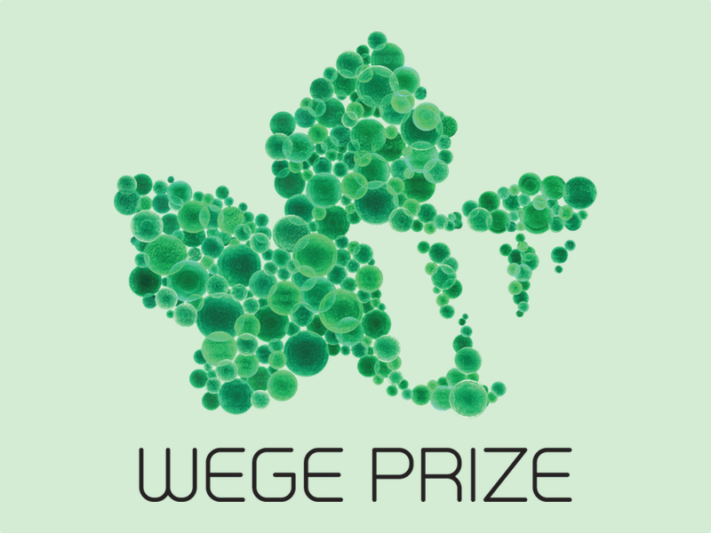 Wege Prize 2025