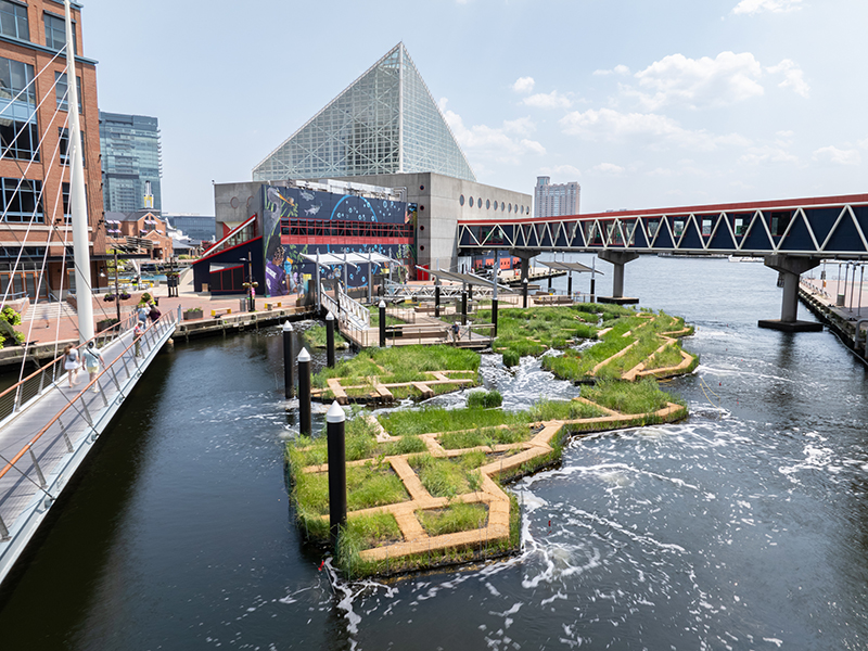 Harbor Wetland at Baltimore National Aquarium