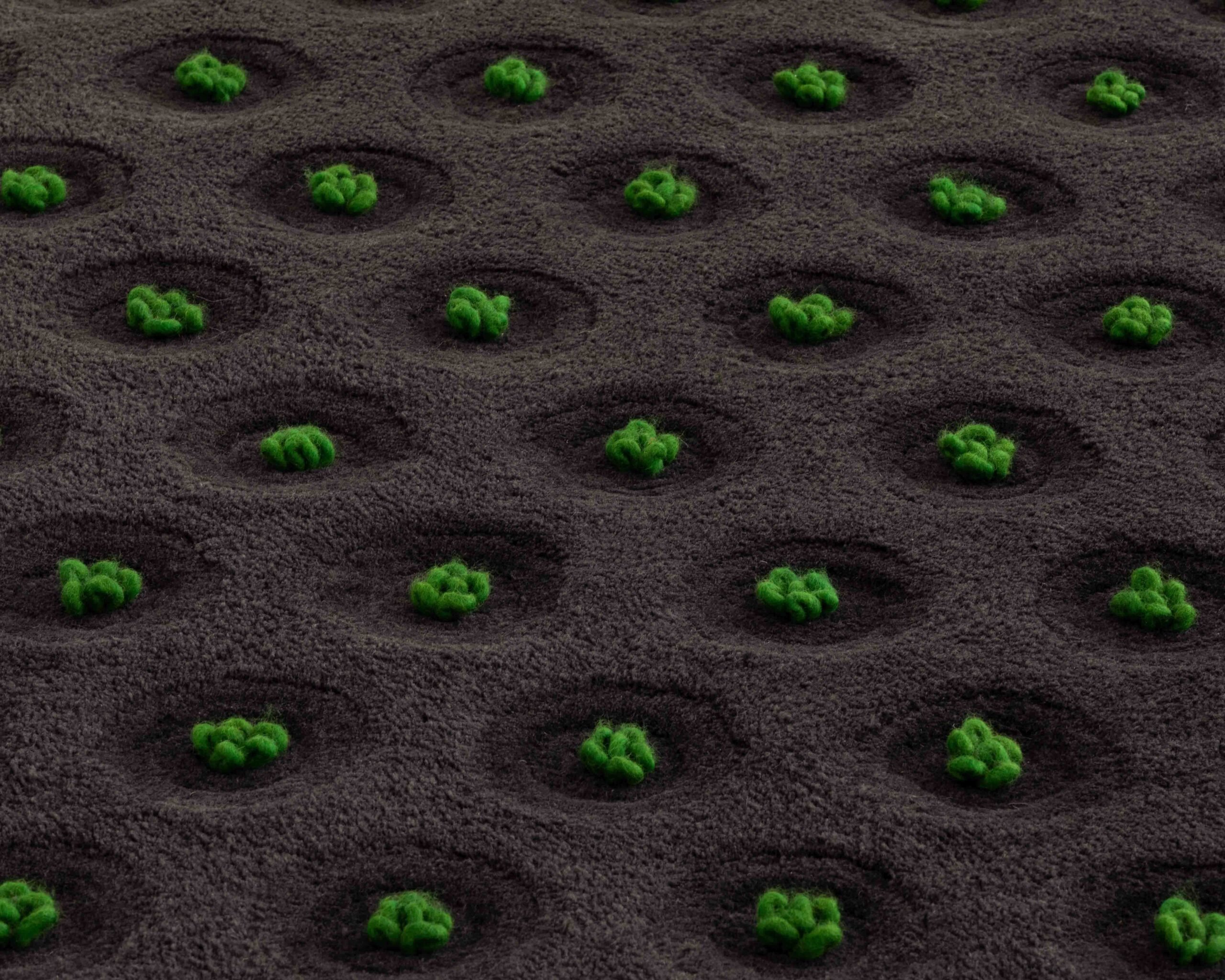 La Geria-Lanzarote tufted-wool rug from Gan