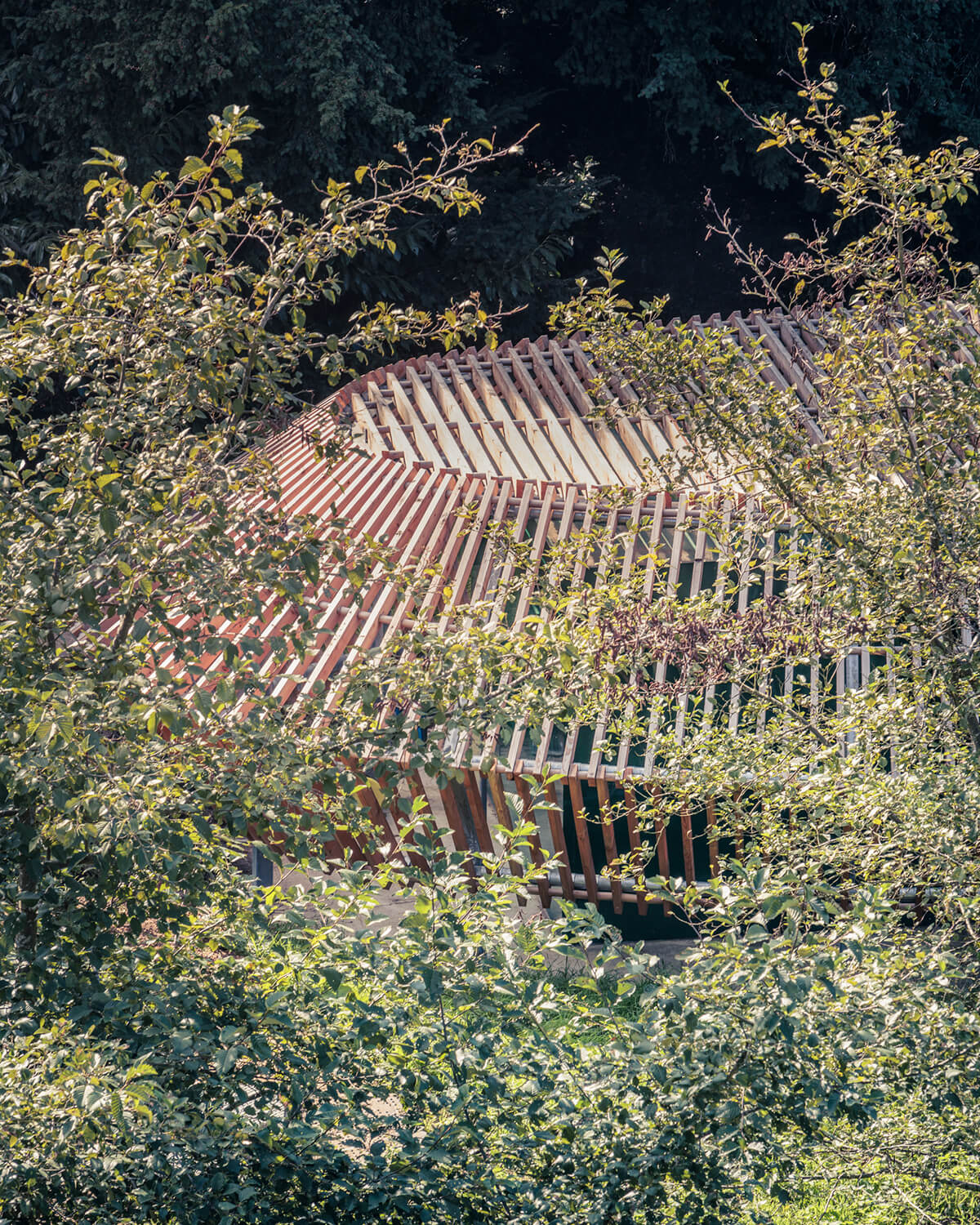 Slatted timber structure camouflaged in the trees