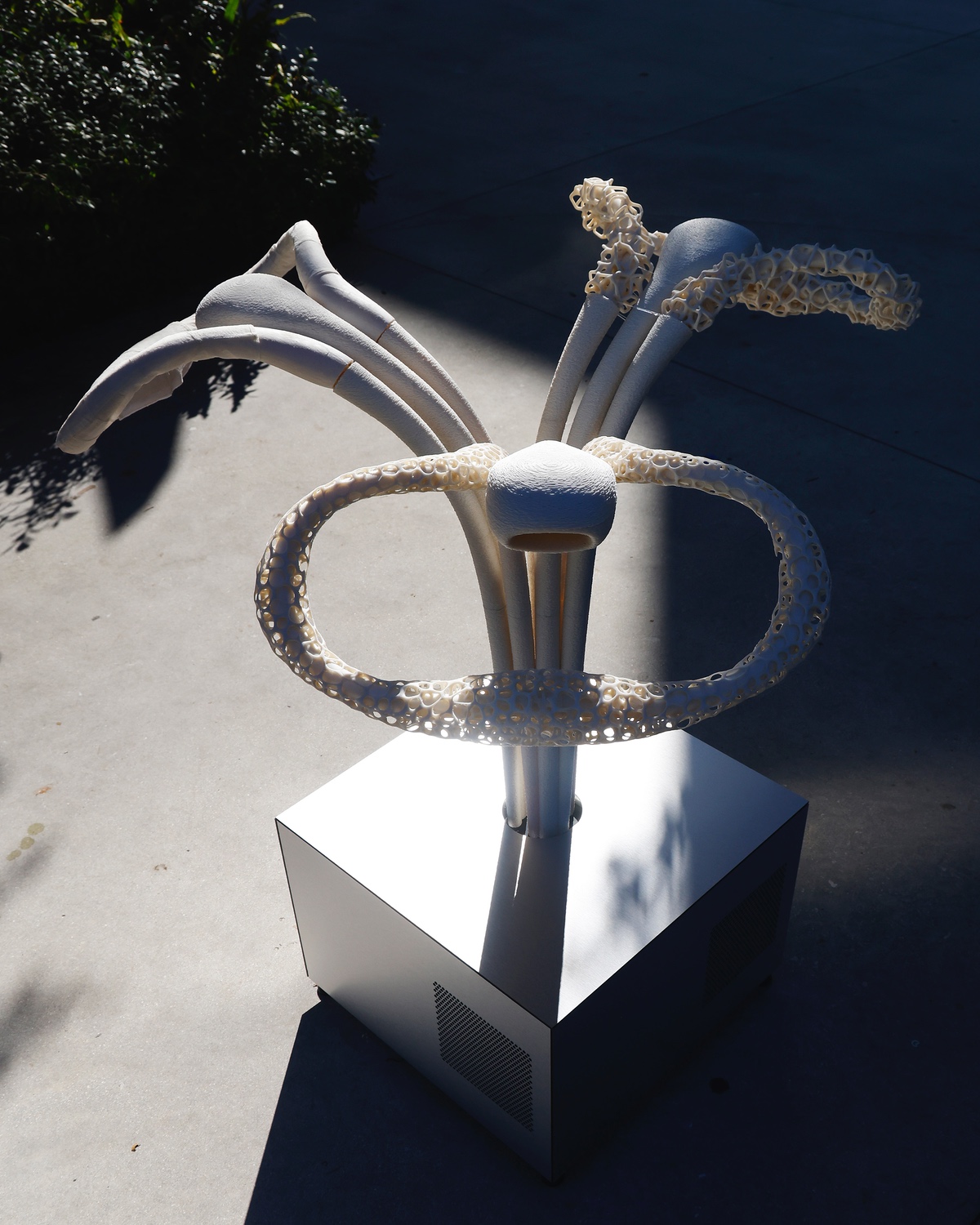 Three steering-wheel shaped sculptures designed by Crafting Plastics and wrapped in intricate biomaterial lattices.
