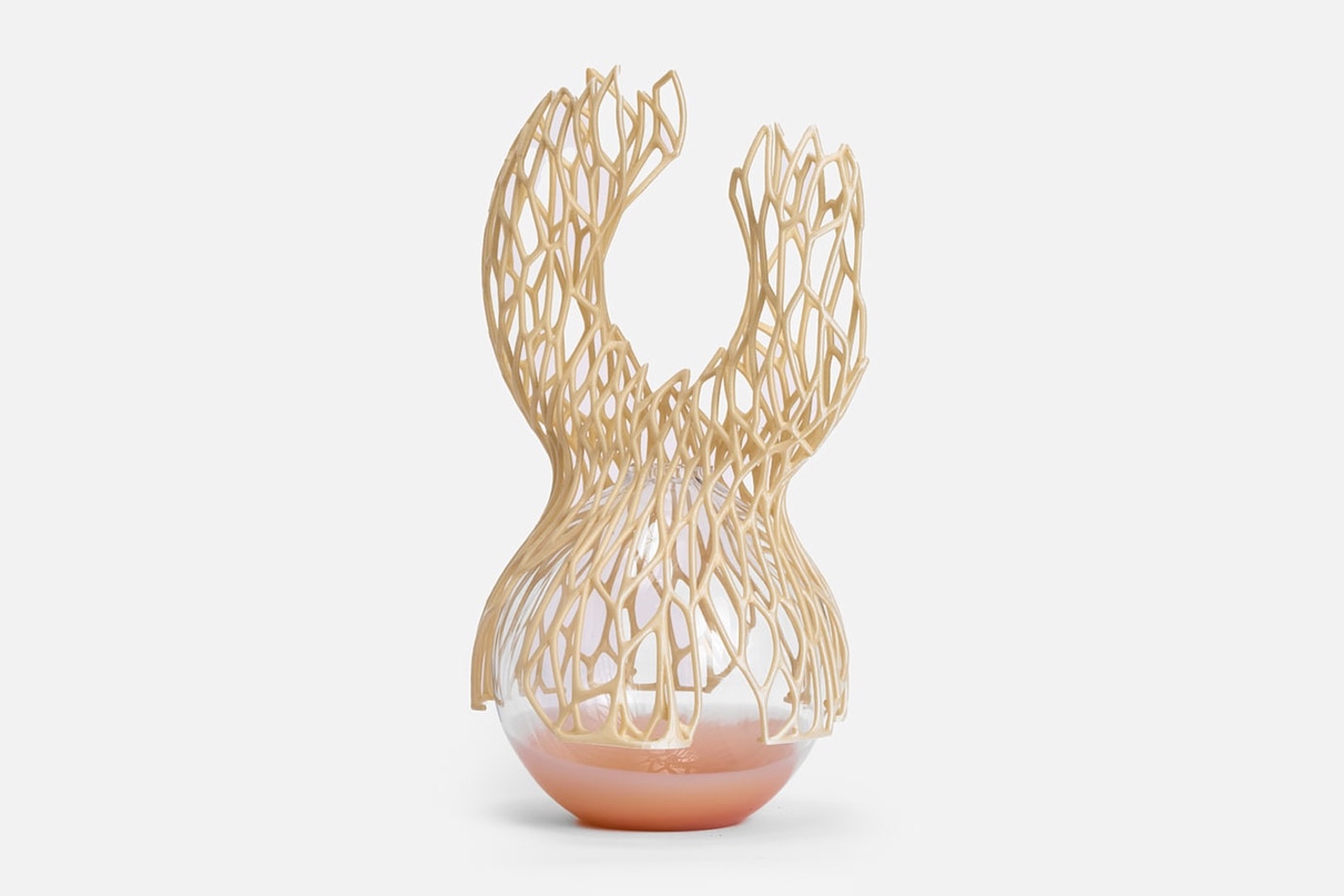 A sculptural vase made by Crafting Plastics from biomaterials, featuring a skeletal shell wrapping around an orb-shaped glass base.