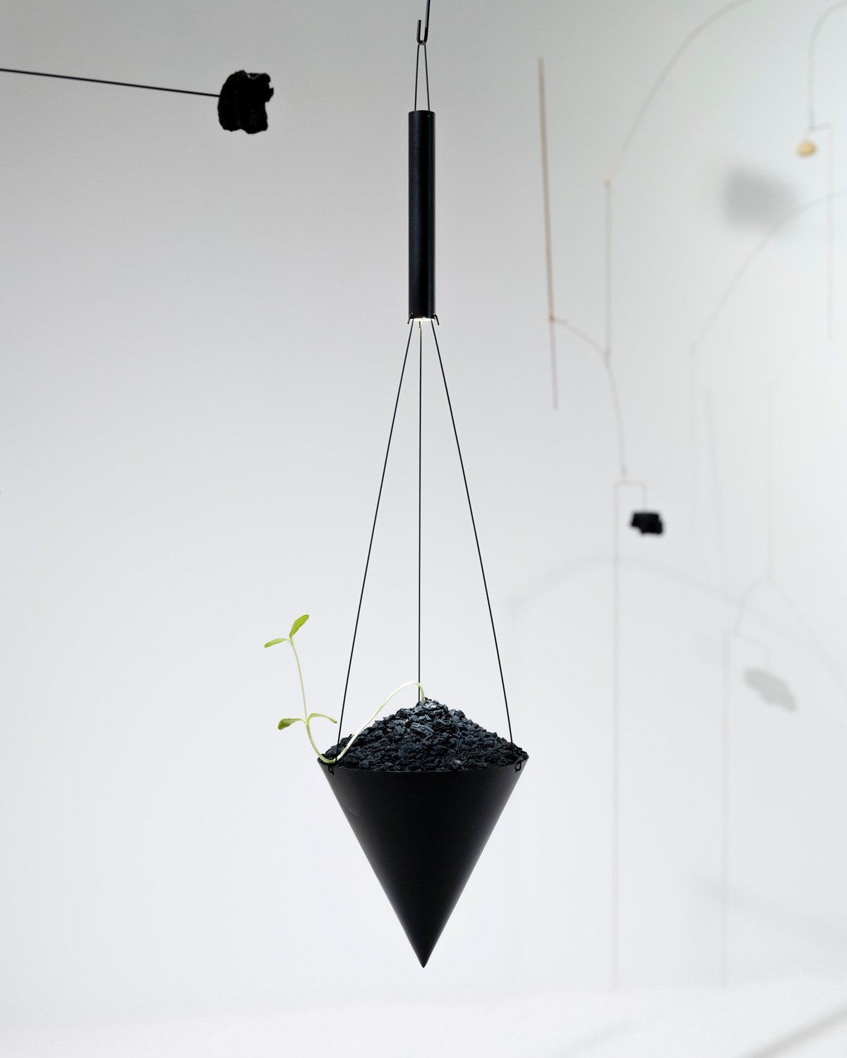 A closeup of one of the branches on the mobiles designed by Dennis Lin features a cup of soil with a sprout growing out of it.