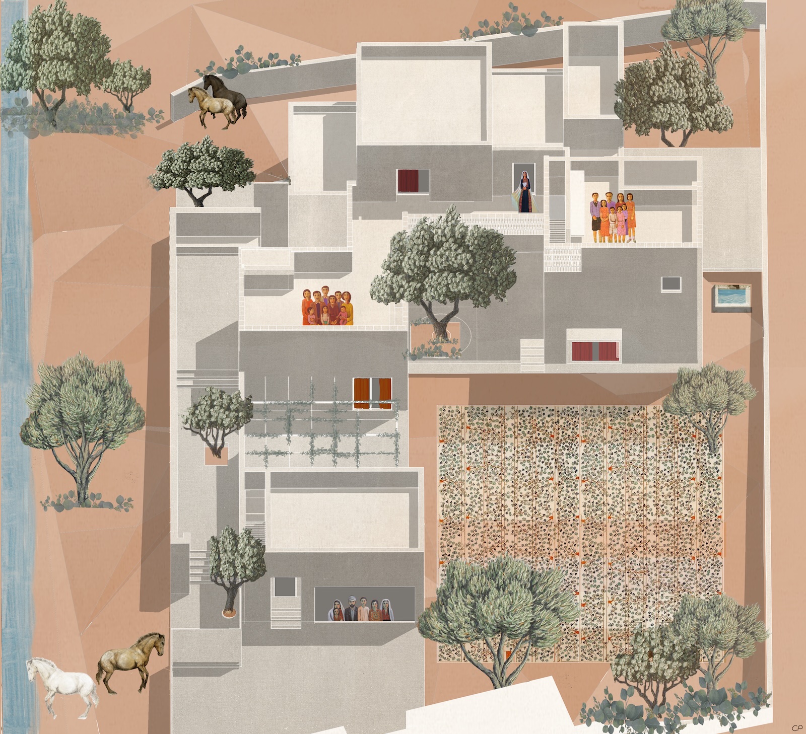 An illustration of Elias Khuri's 12 Olive Trees House shows how the architecture was orchestrated to protect the trees and showcase them throughout the home.