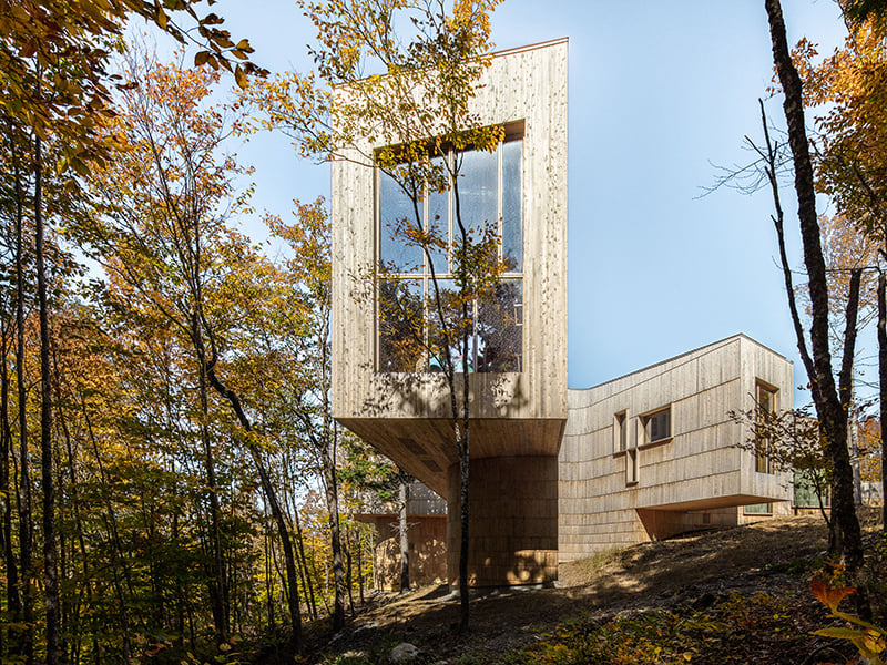 AZ Awards 2025: Meet the Winners of the 15th Annual Edition!