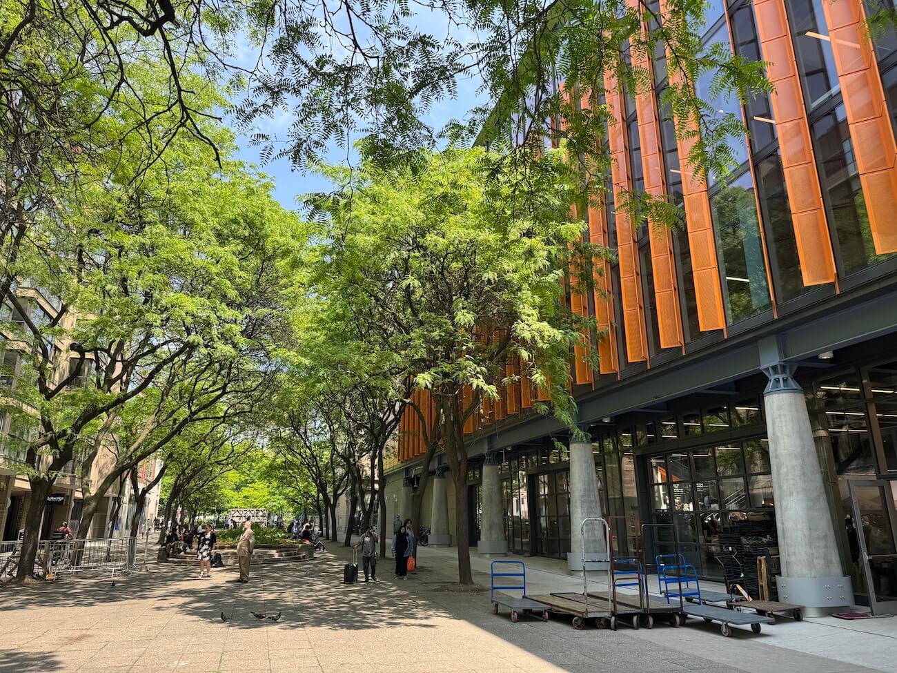 On the west side of the building, Market Lane Park awaits a long-planned revitalization.