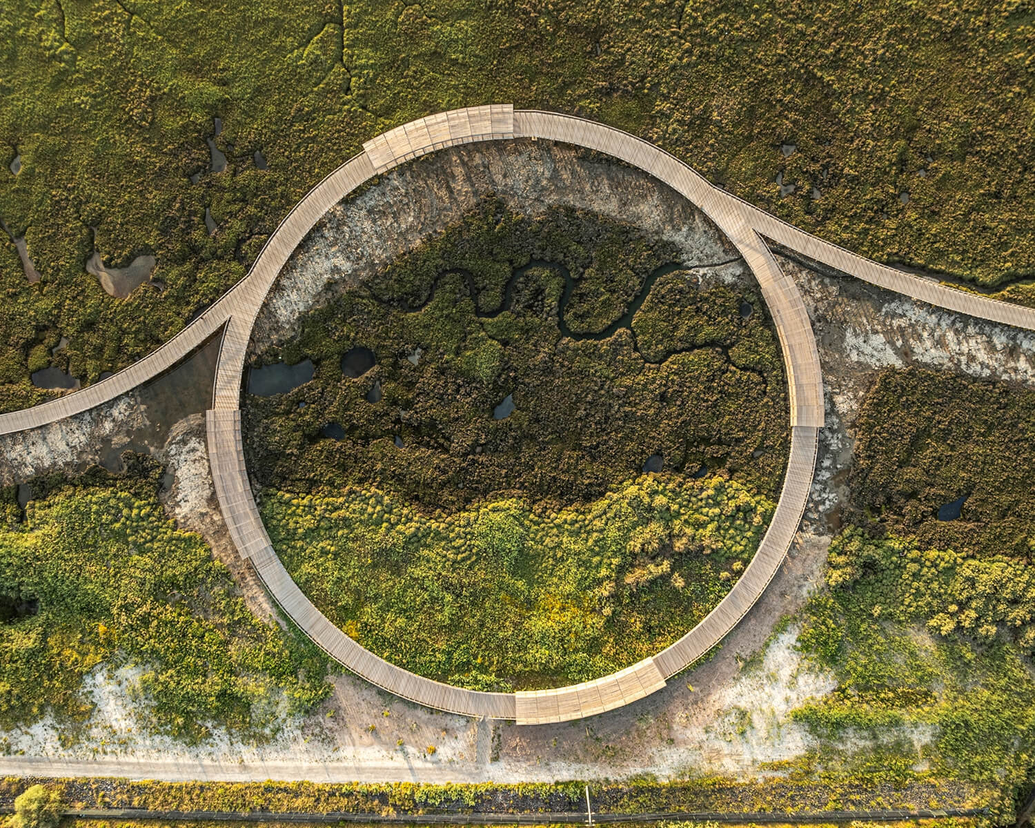 Circular boardwalk as seen from above