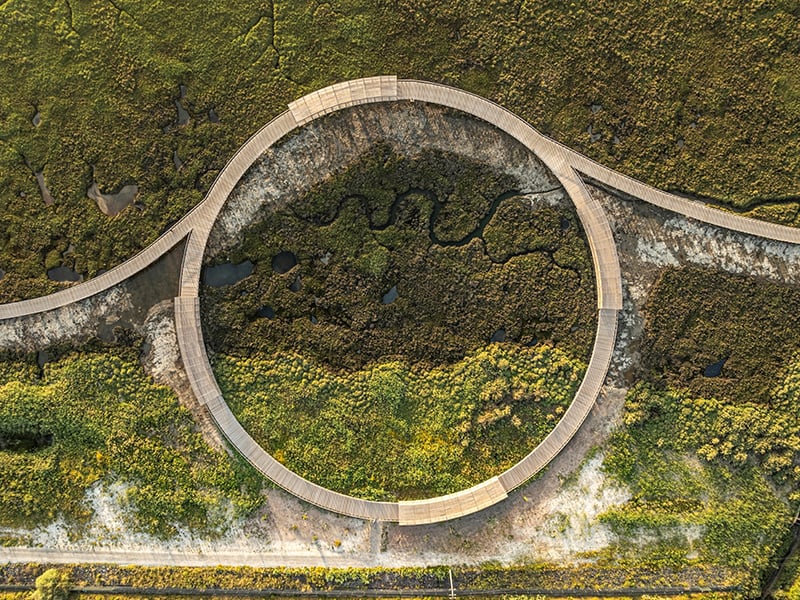 Circular boardwalk as seen from above
