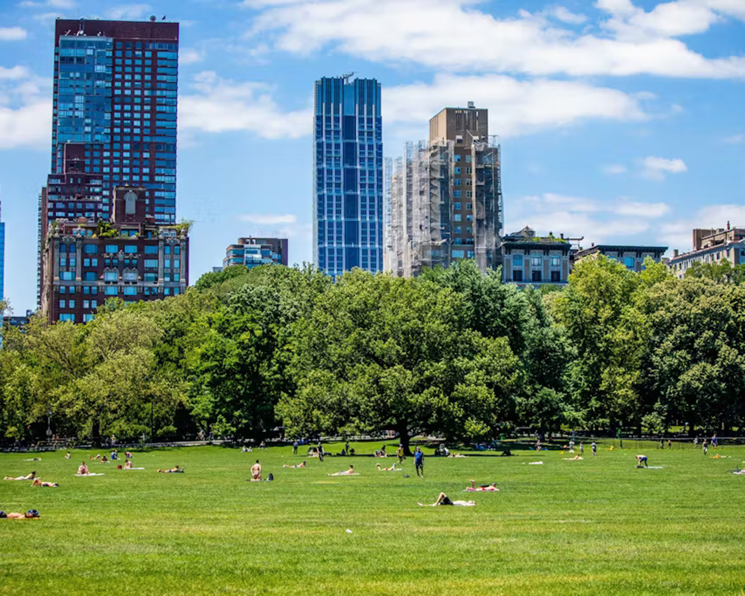 Building Climate Resilience Webinar - Central Park on a sunny day