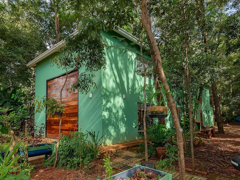Storefront's Homelands exhibition - green house exterior in a forest