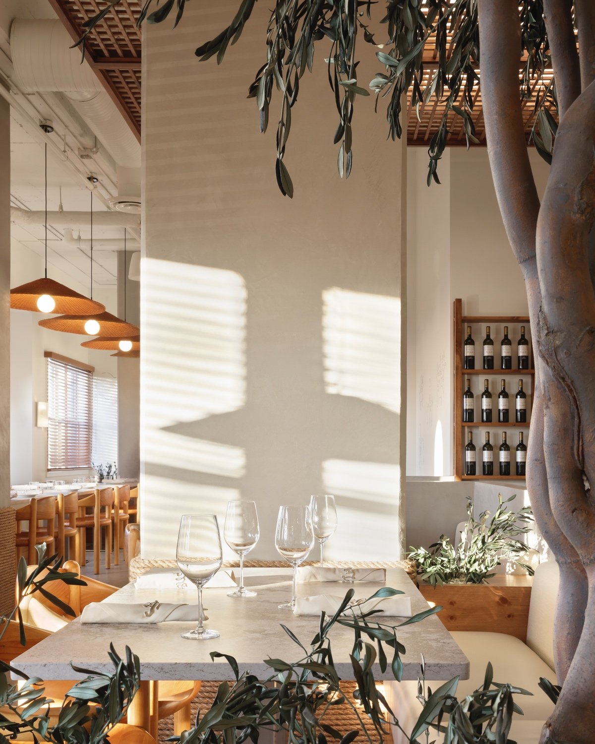Rattan lampshades hang next to an olive tree inside the design of Selene, a Greek restaurant by &Daughters in Vancouver.