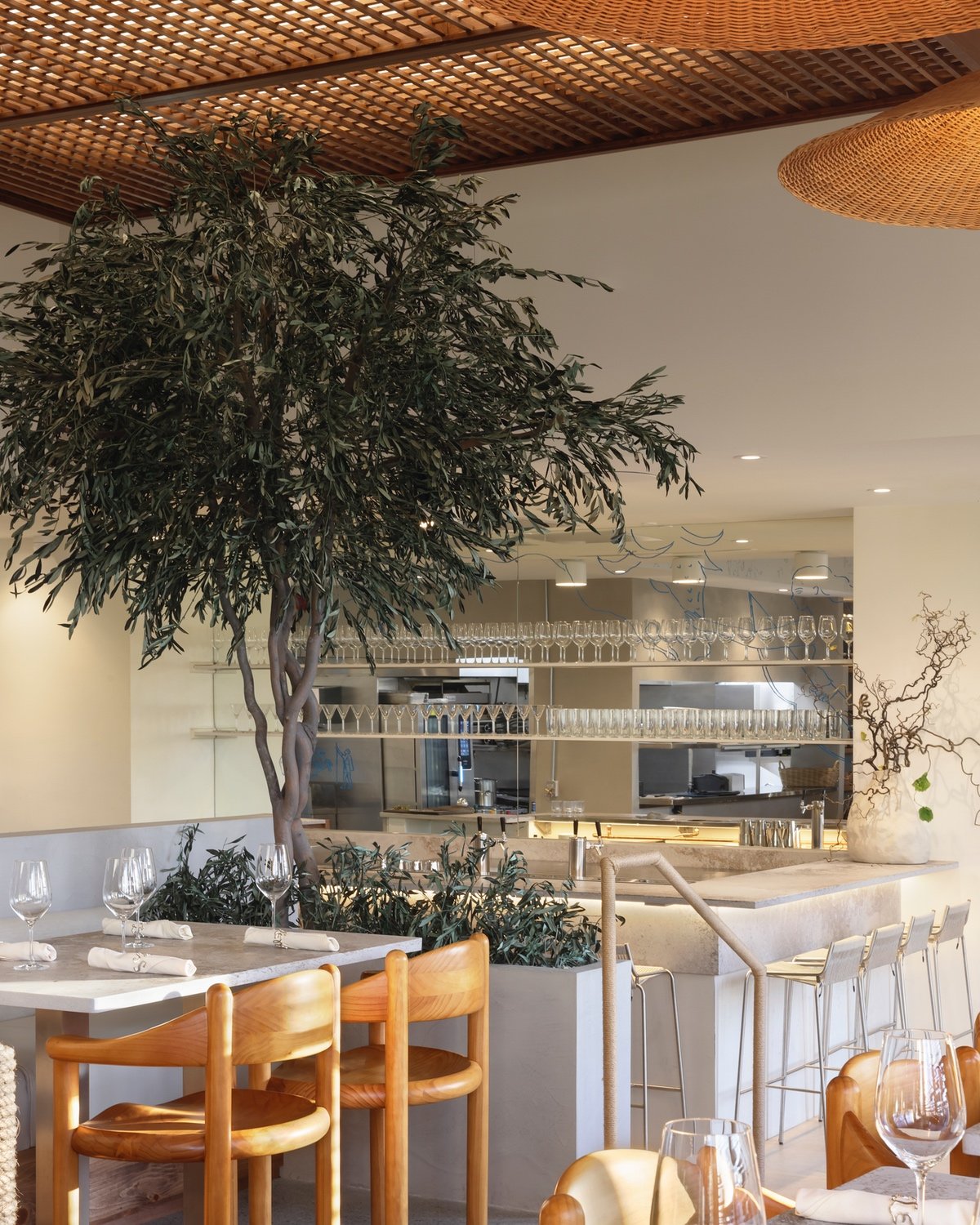 An olive tree sits in the centre of a white restaurant with an open kitchen.