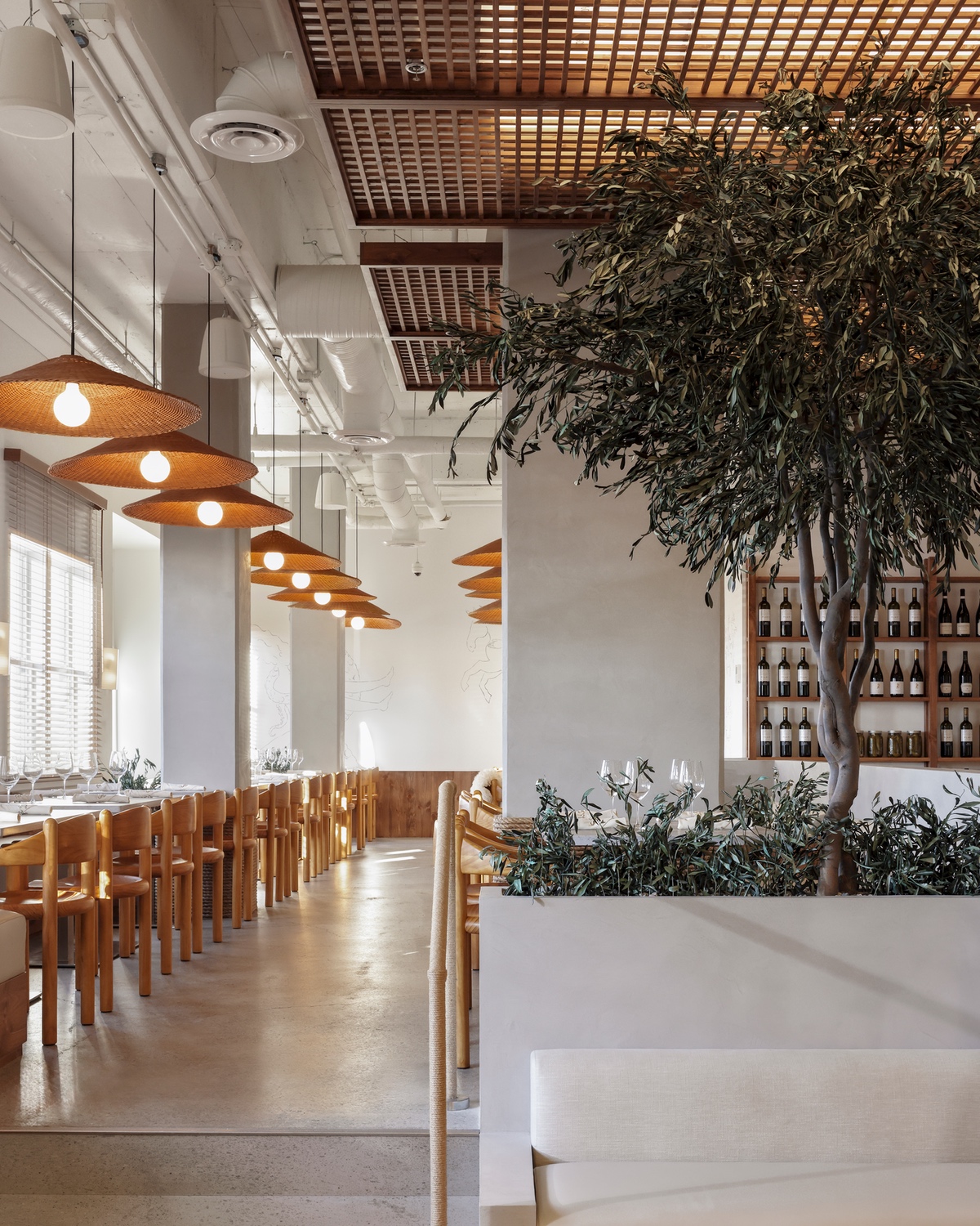 A pinewood ceiling trellis hangs above an olive tree inside Selene, a Vancouver Greek restaurant by design studio &Daughters.
