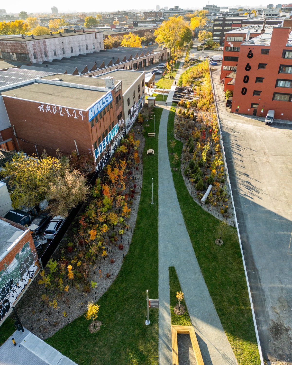 An autumnal aerial view of Gorilla Park in Montreal showing a paved path curving between two clusters of trees.