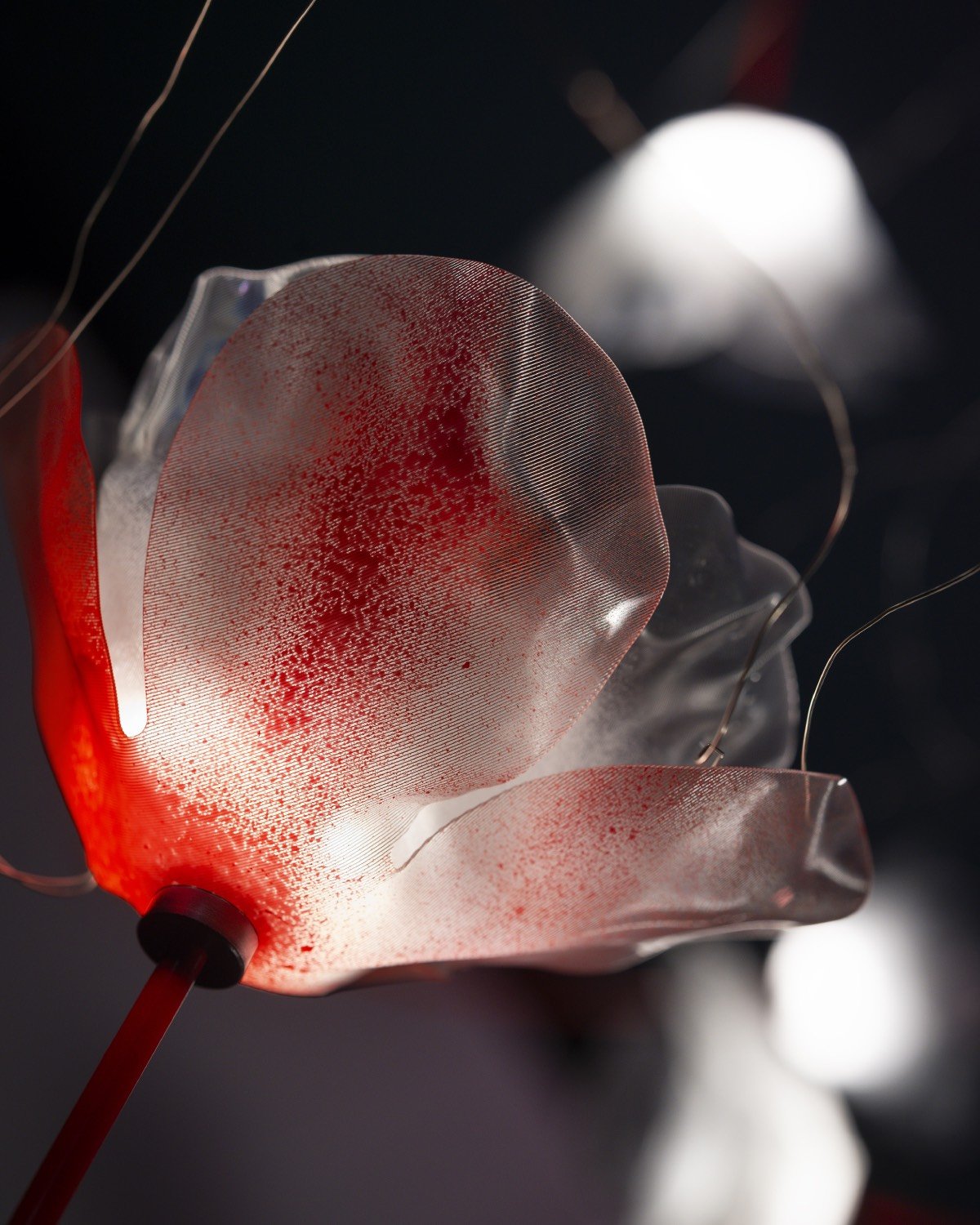 Poppy suspension lamp Slamp