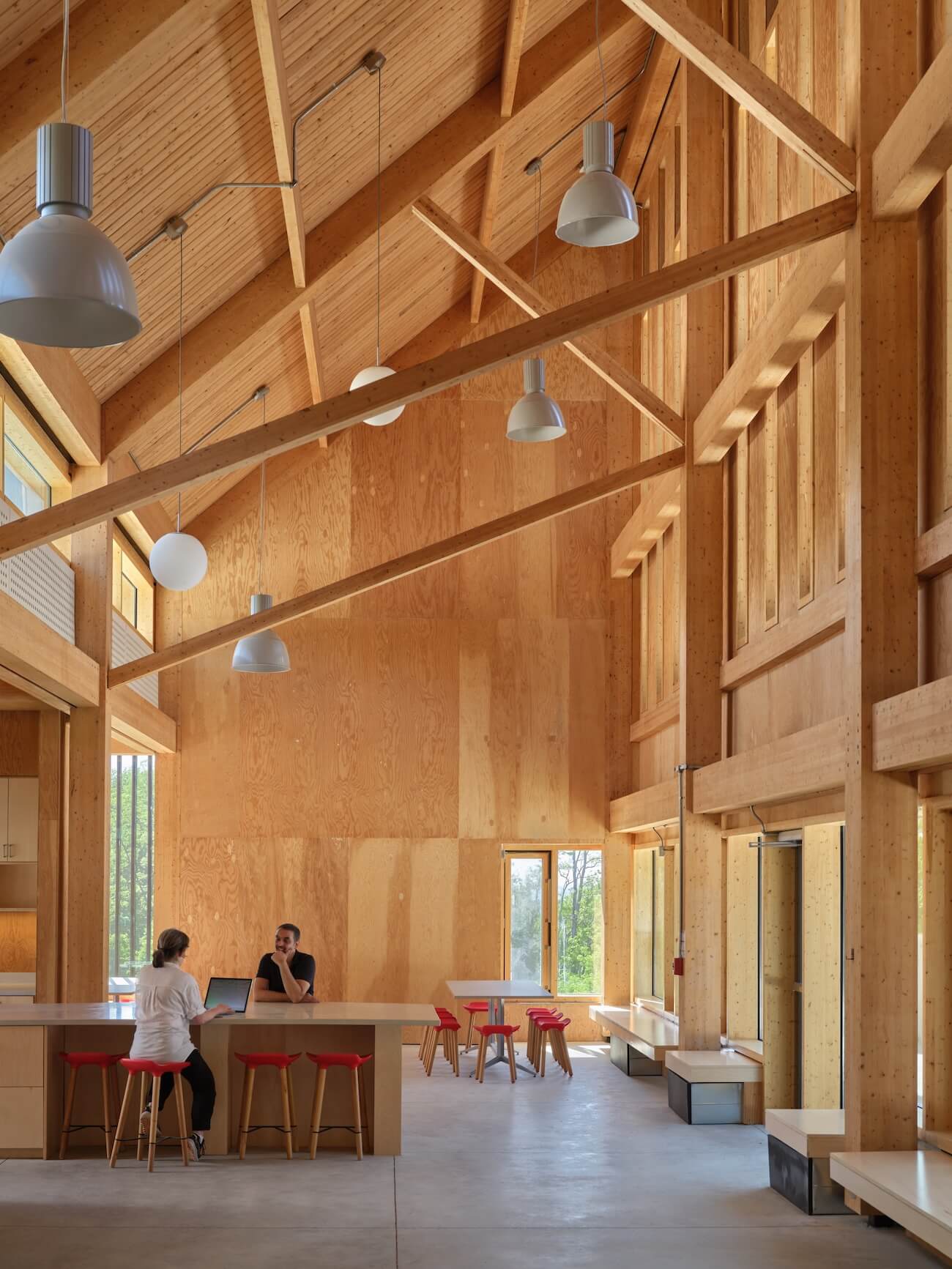 Koffler Scientific Reserve by Montgomery Sisam