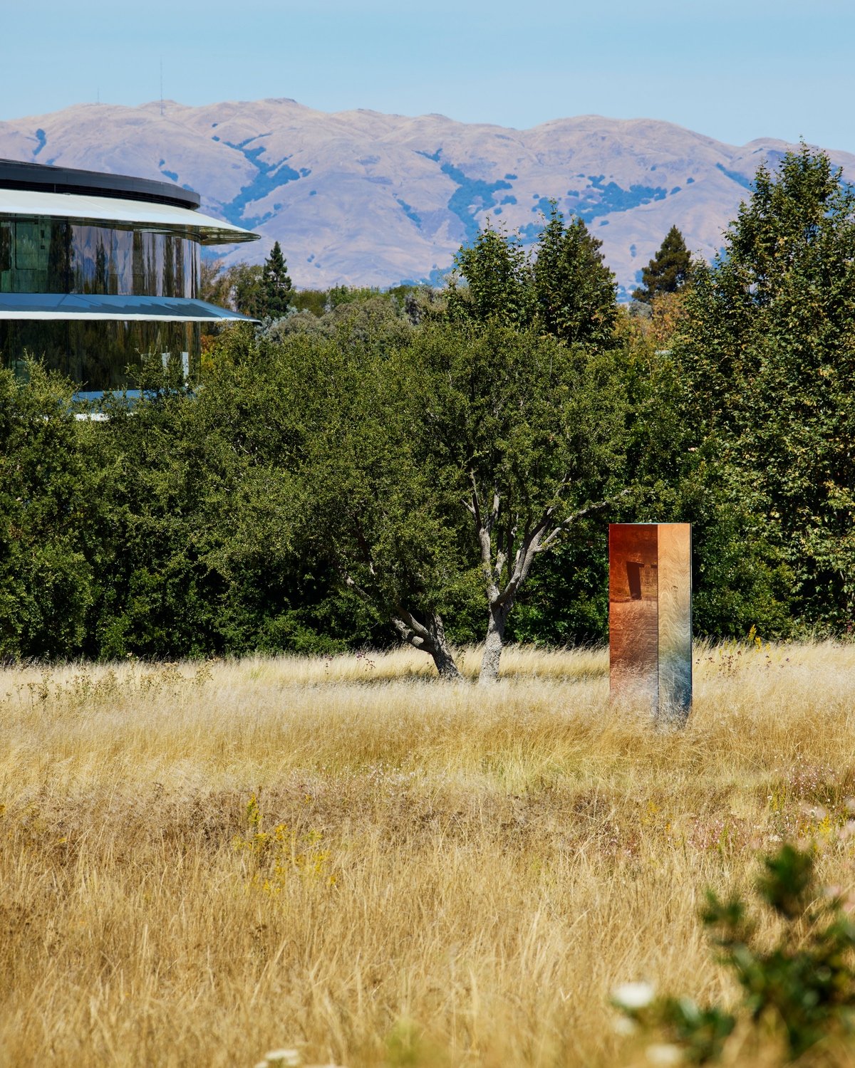 A sculpture by Sabine Marcelis installed in a grassy area outside at Apple headquarters in Cupertino.